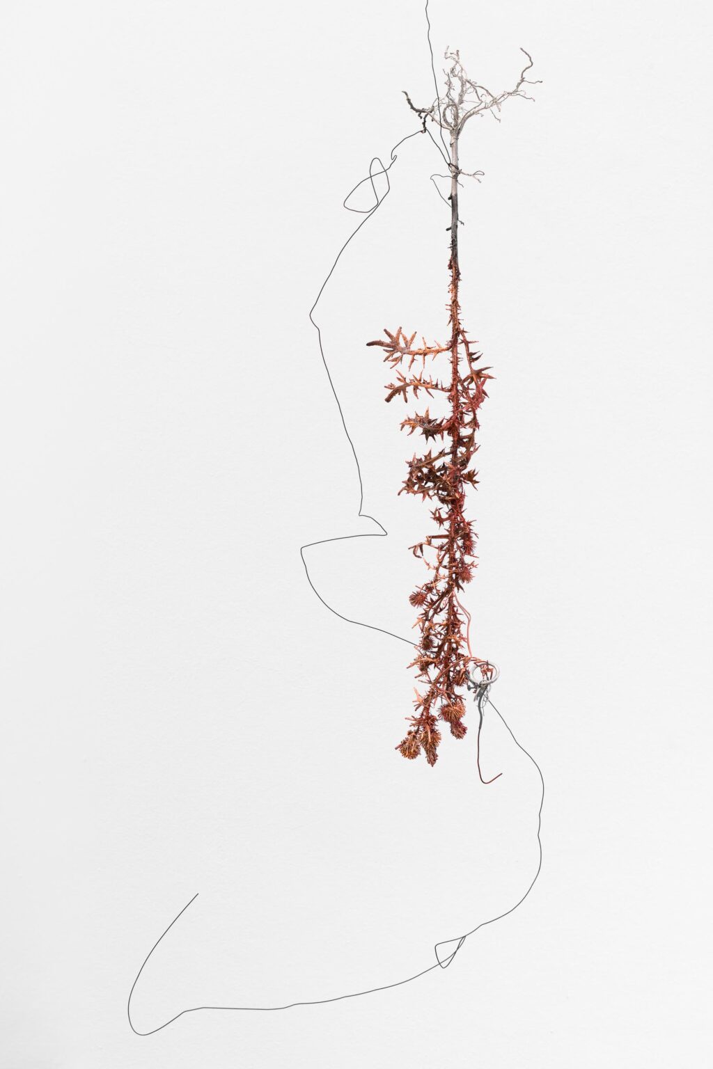 O.T. - Iris Andraschek 