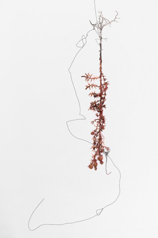 O.T. - Iris Andraschek 