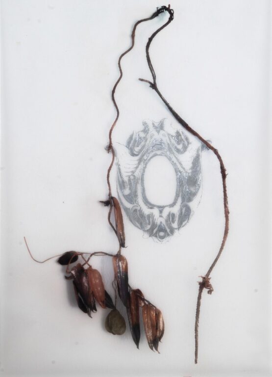 O.T. - Iris Andraschek 