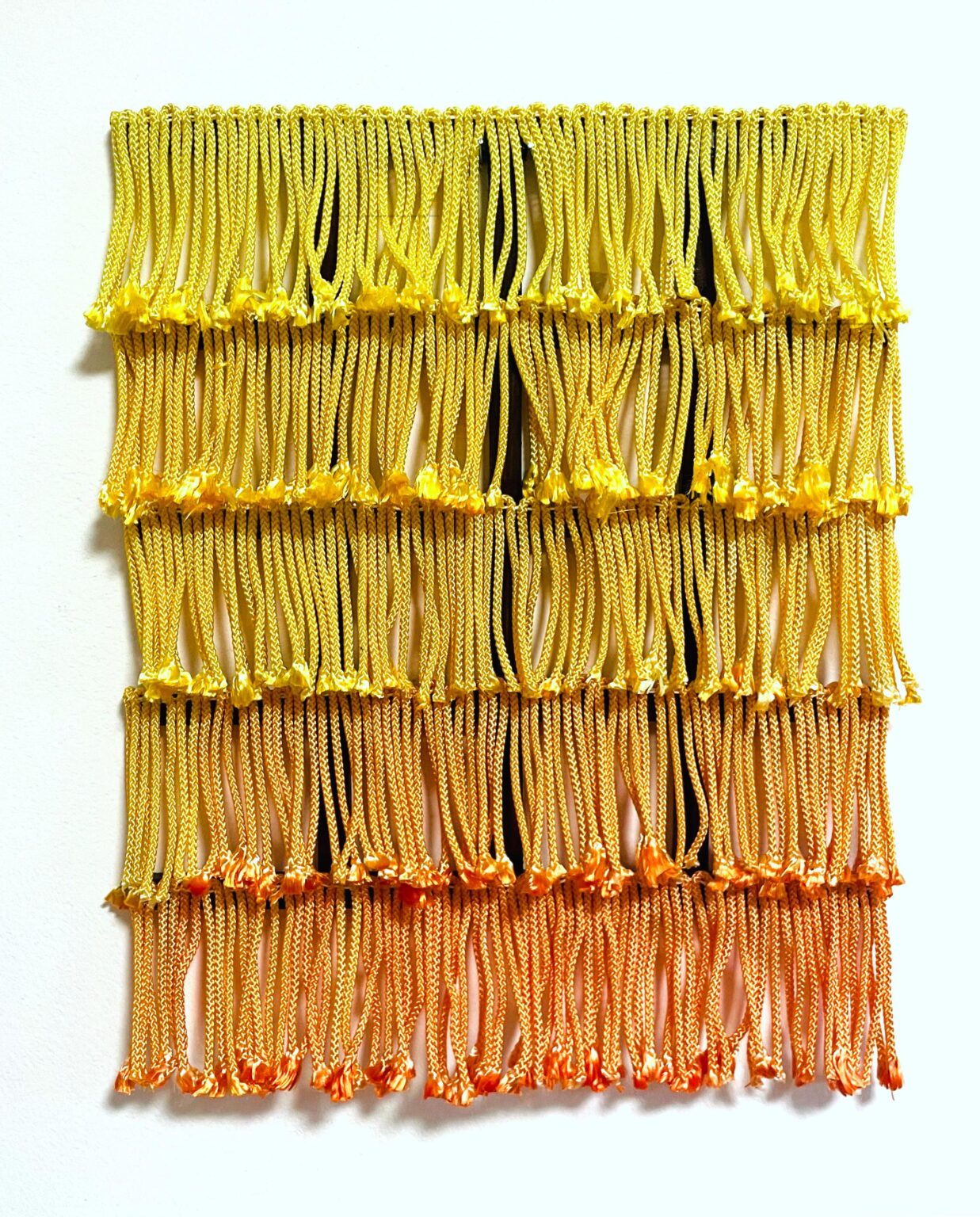 Trims #3 - Terese Kasalicky 