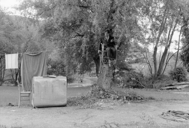 O.T. (Leo) - Ines Doujak 