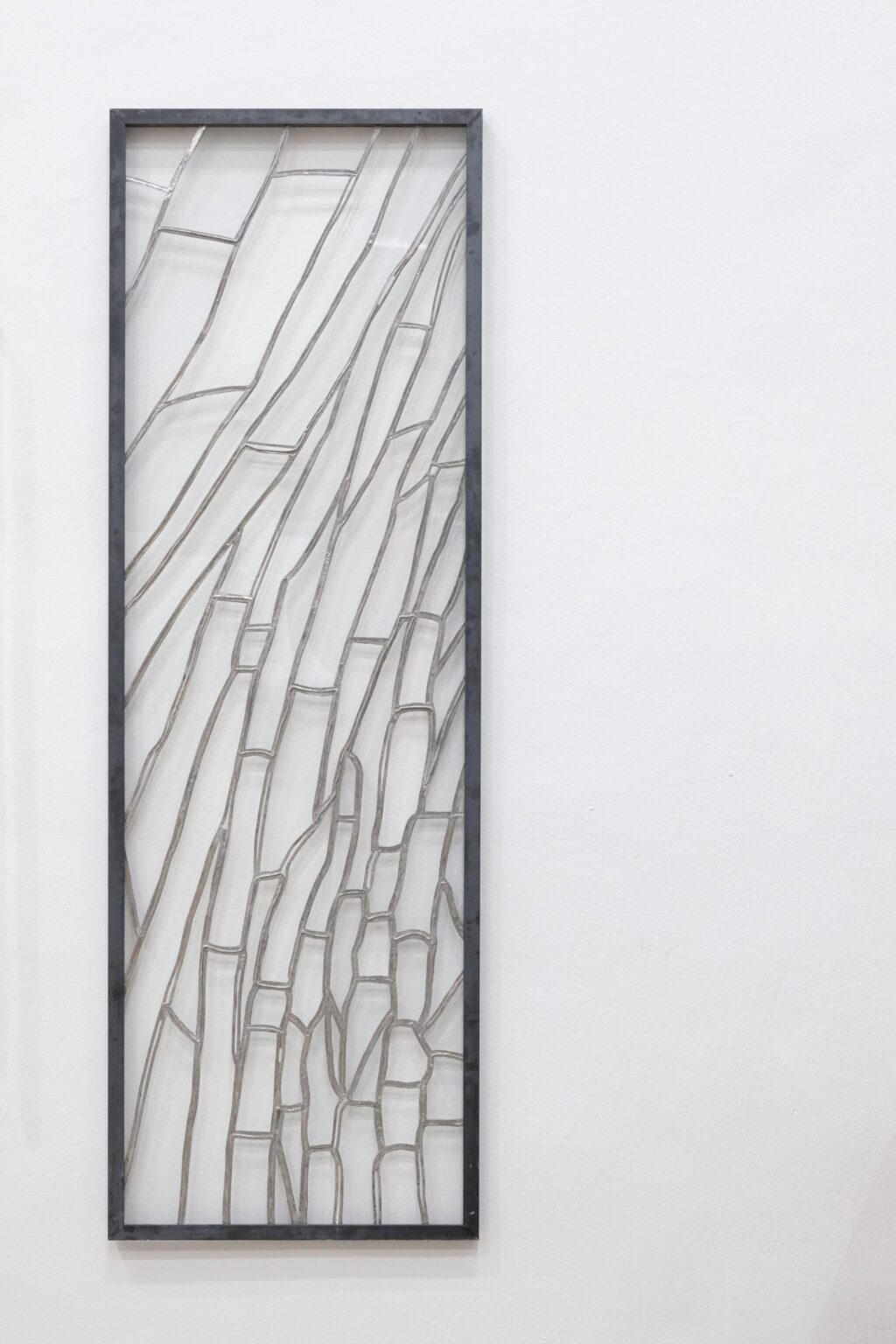 Preparaat - Janne Schipper 