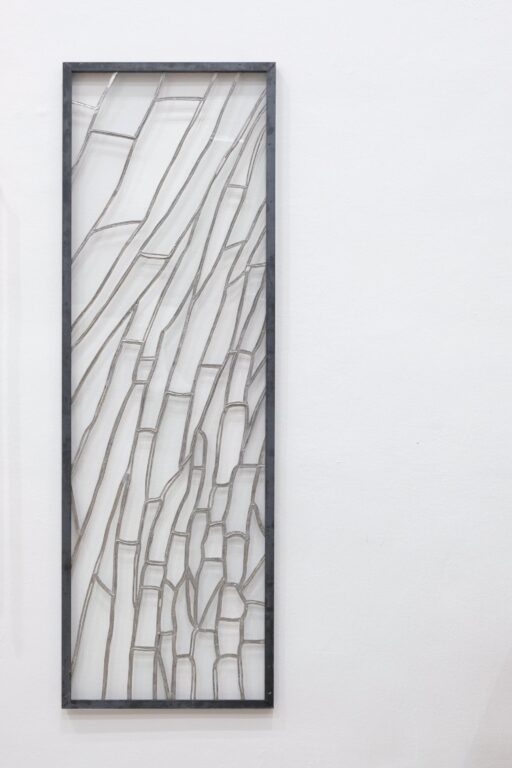 Preparaat - Janne Schipper 