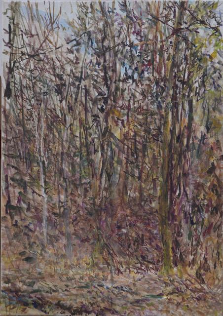 Schlosspark Winter - Markus Orsini-Rosenberg 