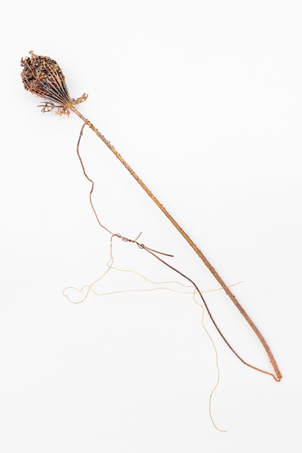 O.T. - Iris Andraschek 