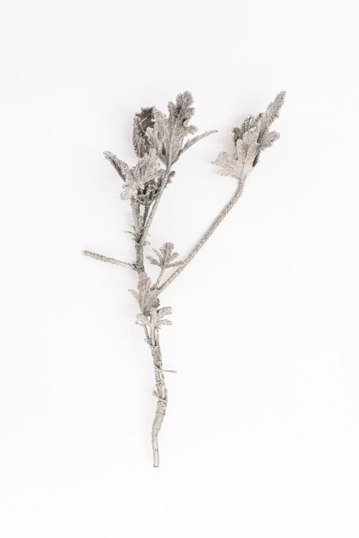 O.T. - Iris Andraschek 