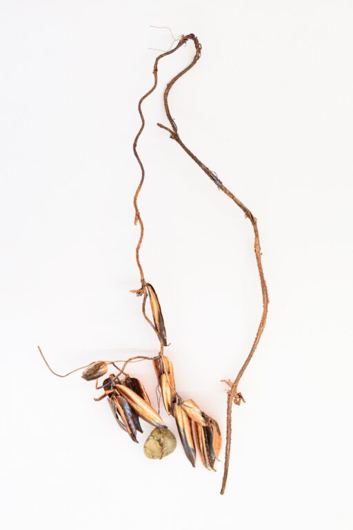 O.T. - Iris Andraschek 