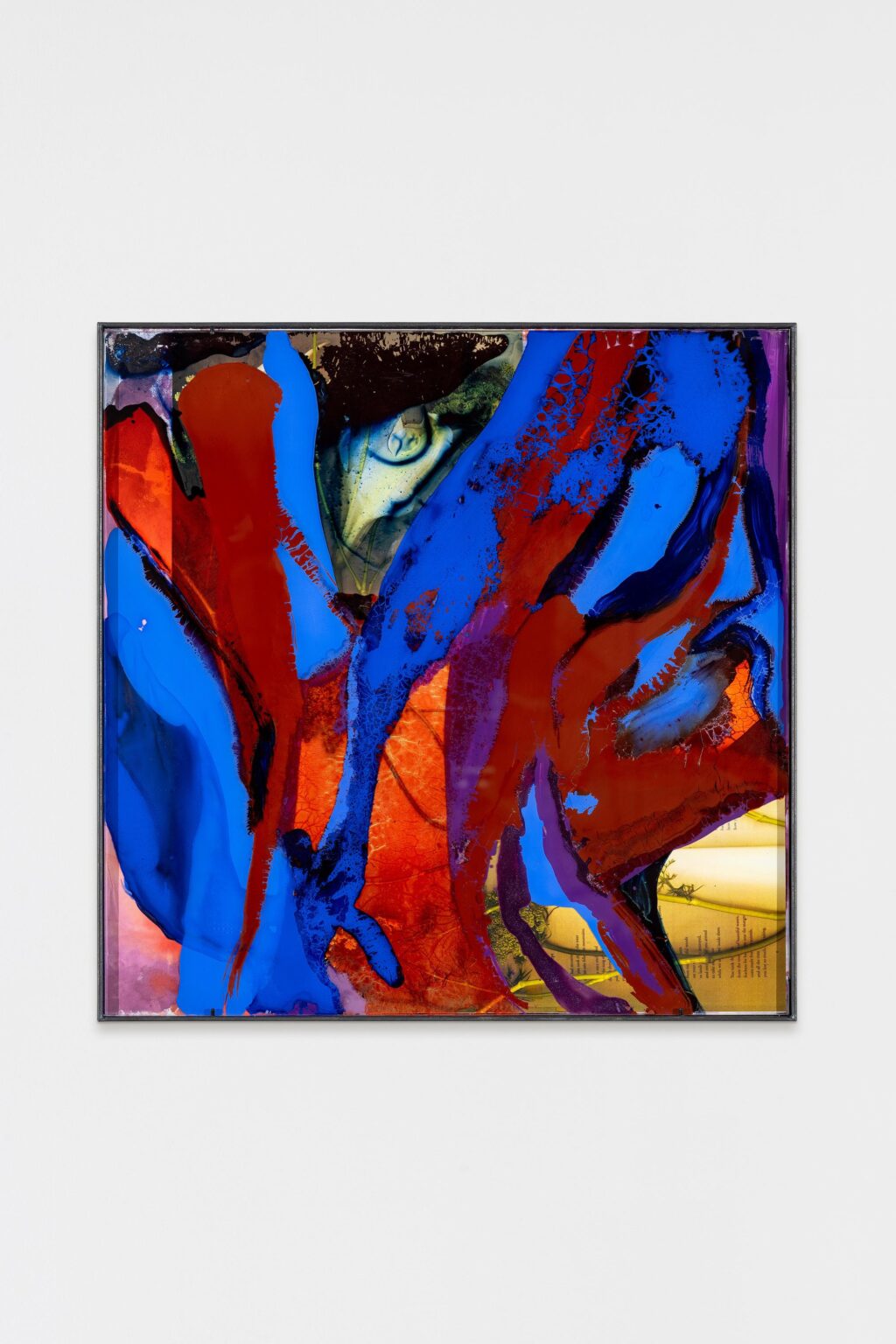 Limits of growth - Veronika Dirnhofer 