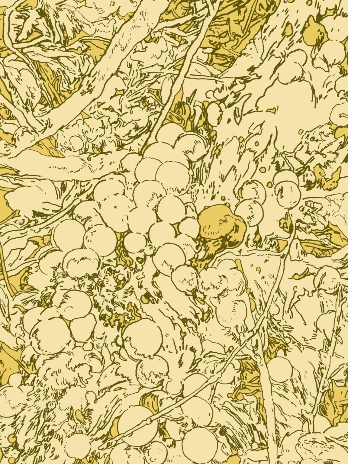 Pilzkugeln (Zoom) - Simon Goritschnig 