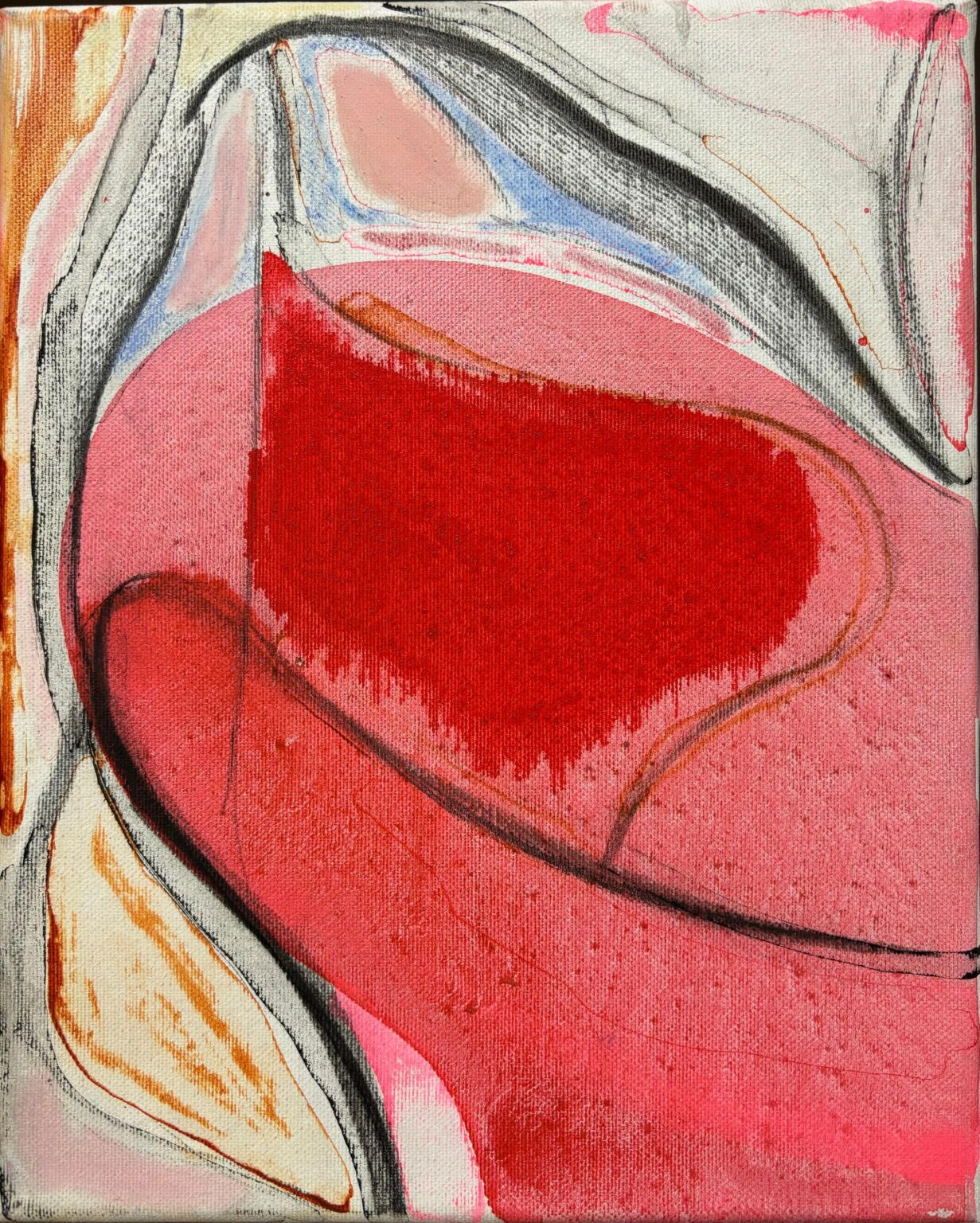 AD #6 - Veronika Dirnhofer 