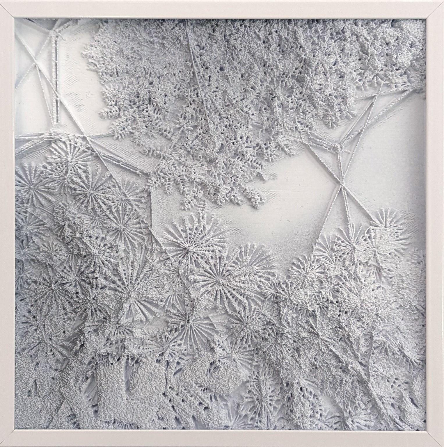 Shaped Landscapes 01 - Laura Roth 