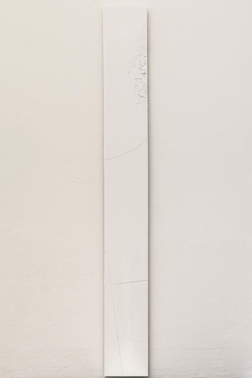 Swath I - Sophie Dvořák 