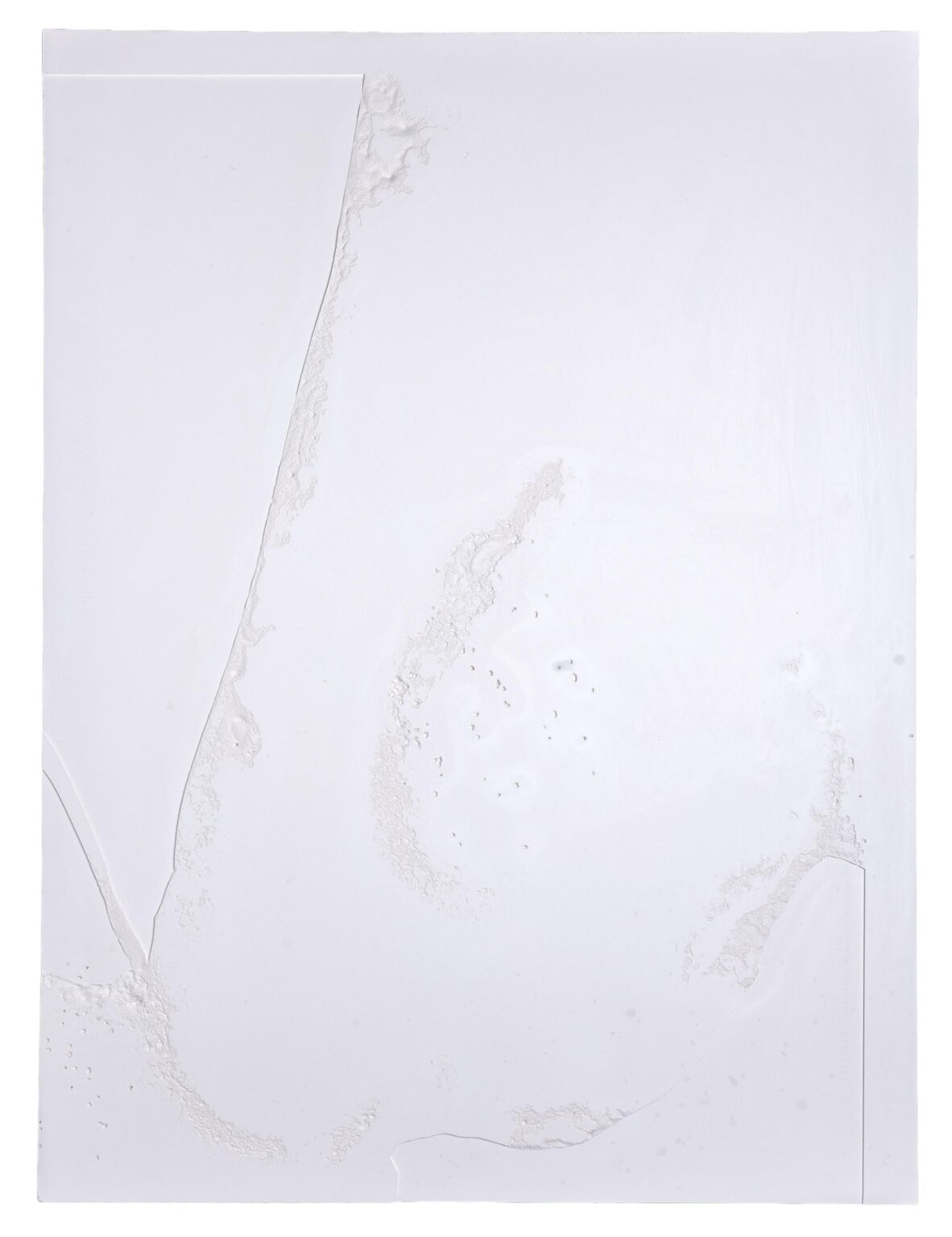 Segmentation - Sophie Dvoř&aacute;k 