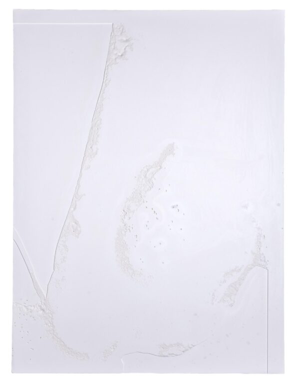 Segmentation - Sophie Dvořák 