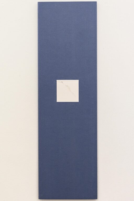 Pixel - Sophie Dvořák 