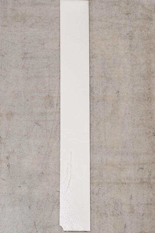 Swath II - Sophie Dvořák 