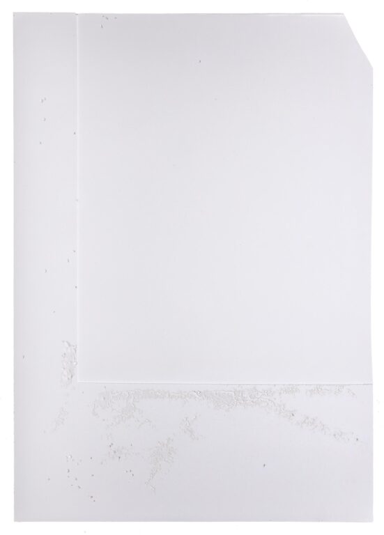 Dropout (2-teilig) | Teil 2 - Sophie Dvořák 