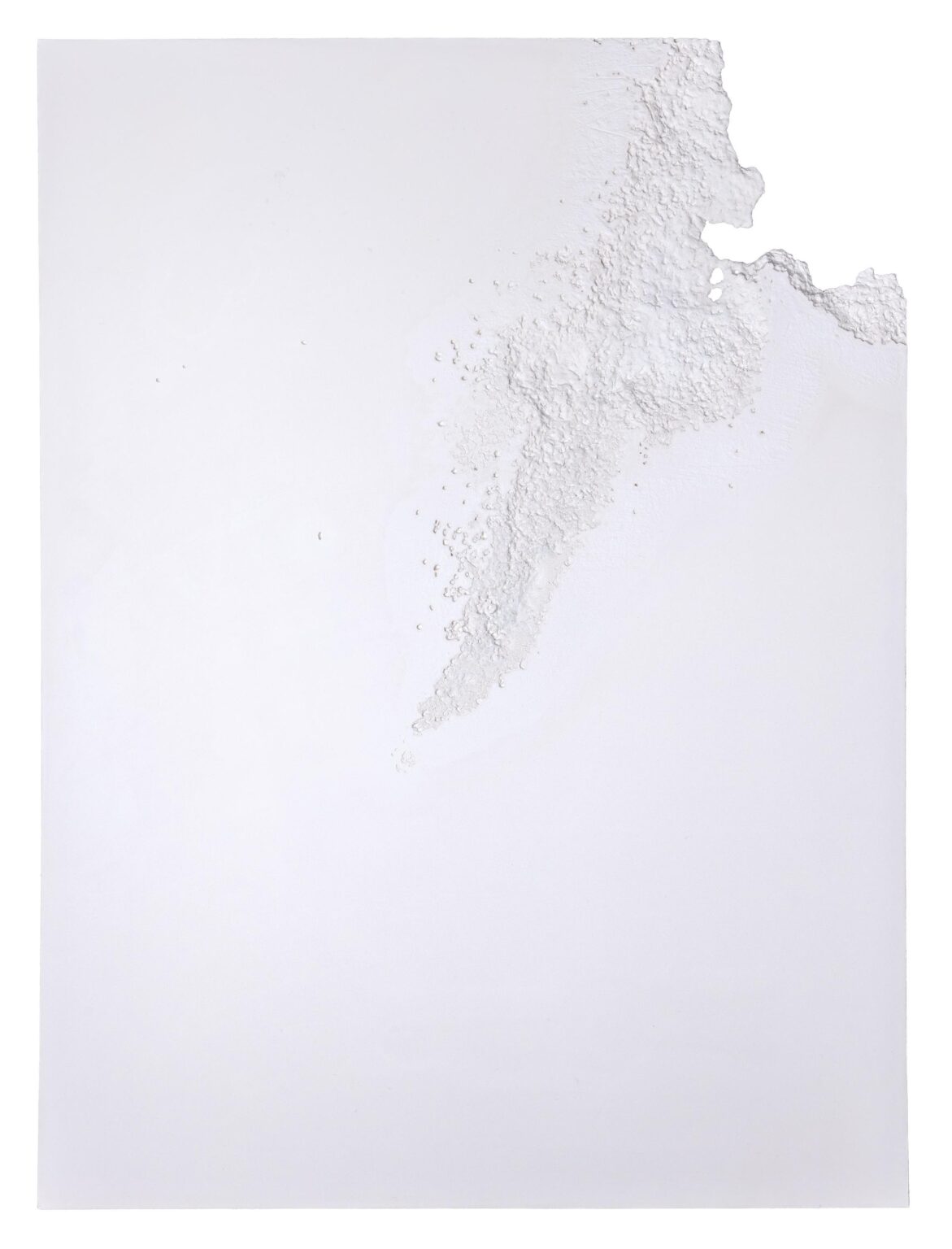 O.T. (Desiccation II) - Sophie Dvoř&aacute;k 