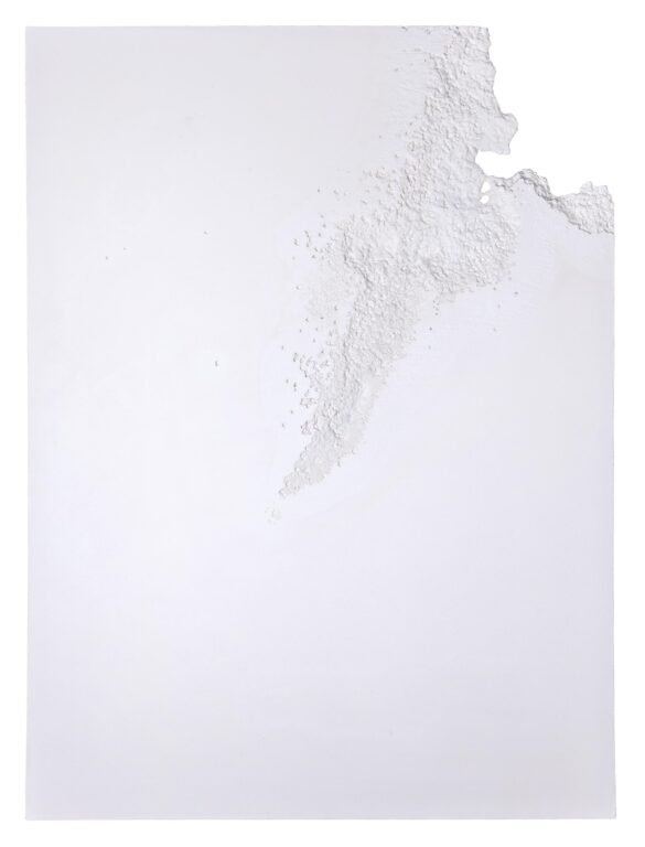 O.T. (Desiccation II) - Sophie Dvořák 