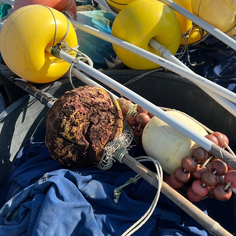 Verbundenheiten - Karen Elliot 