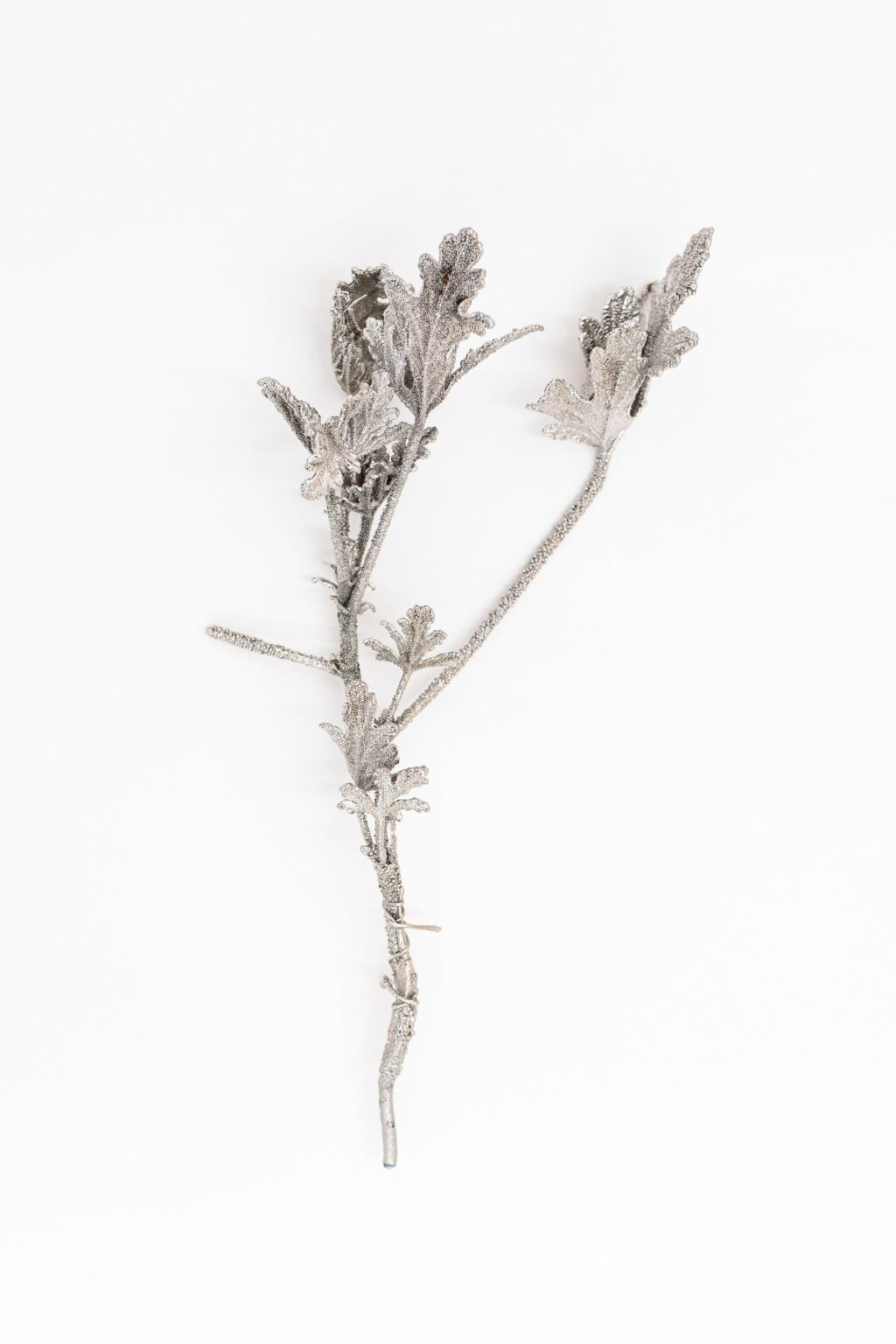 O.T. - Iris Andraschek 