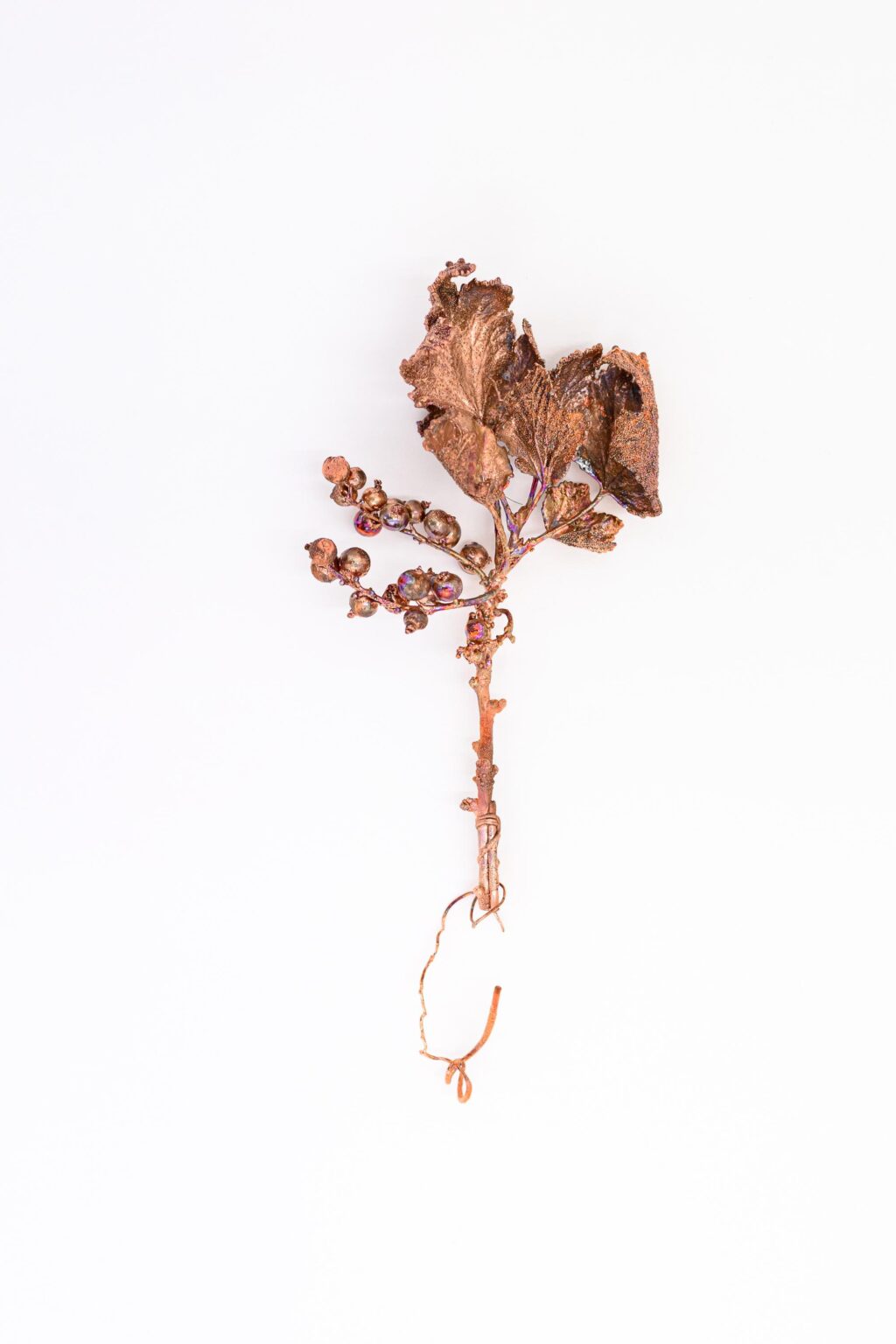 O.T. - Iris Andraschek 