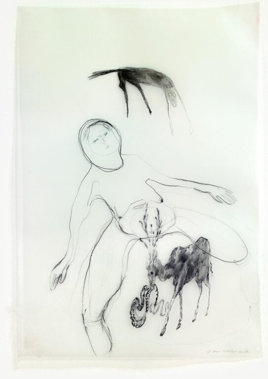 O.T. - Iris Andraschek 