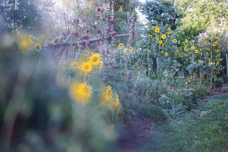 CURIOUS, NERVOUS BUT NOTHING HAPPENS (aus der Serie Canada) - Iris Andraschek 