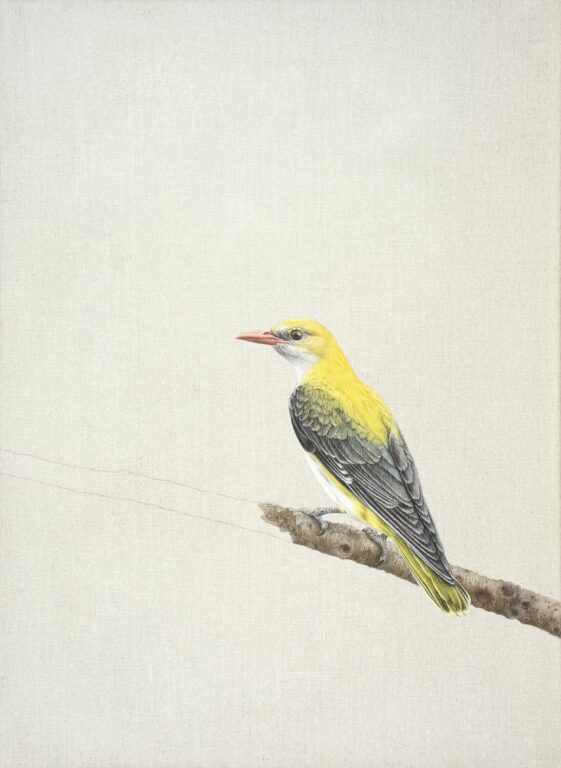 Helga - Alfredo Barsuglia 