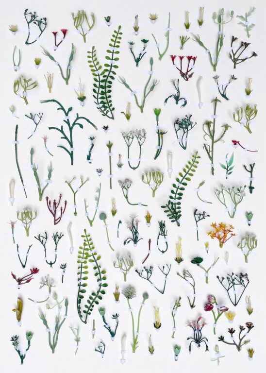 Archäologie der Gegenwart – Kunstblumenteile - Edith Payer 