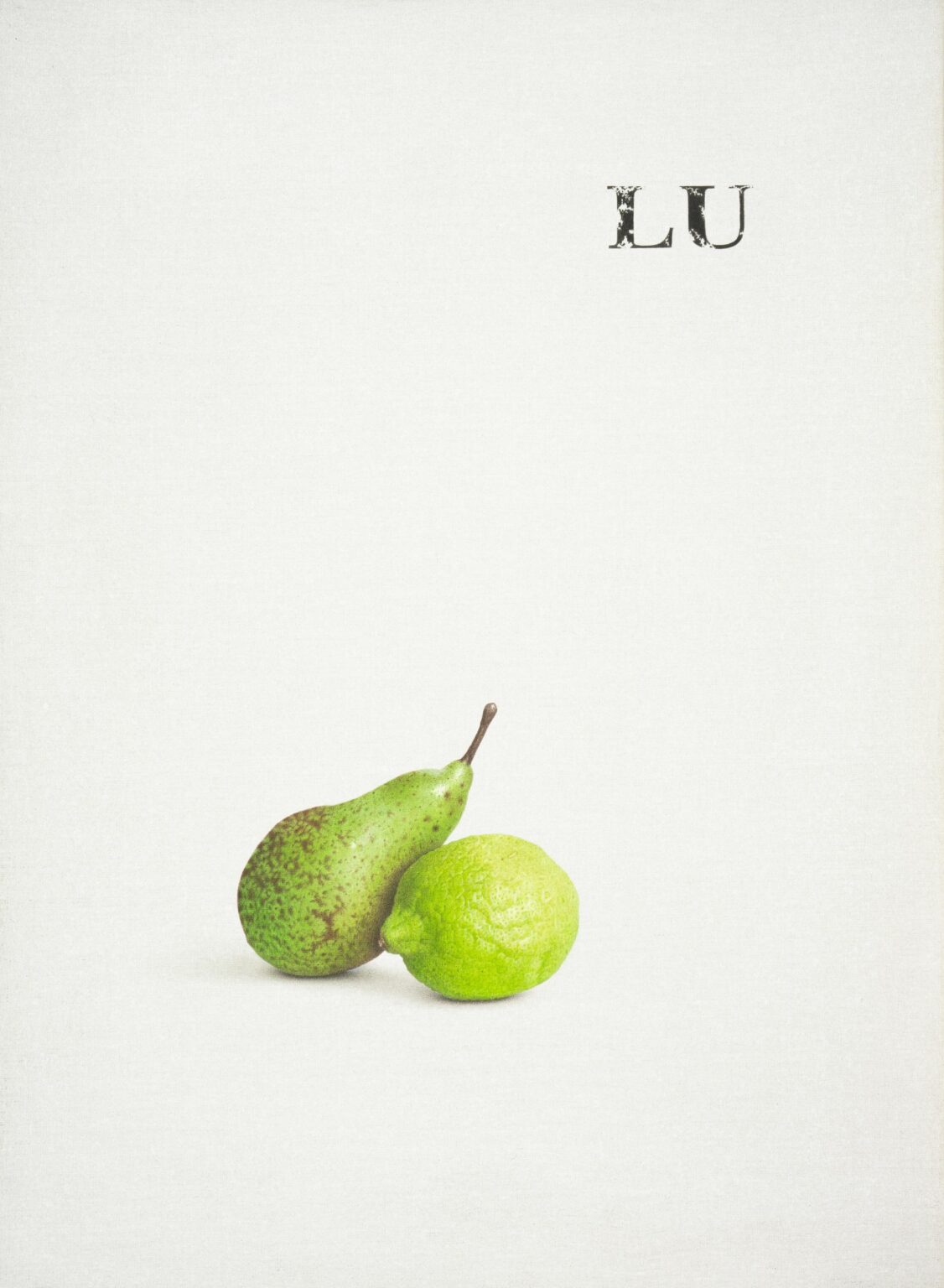 Katze - Alfredo Barsuglia 