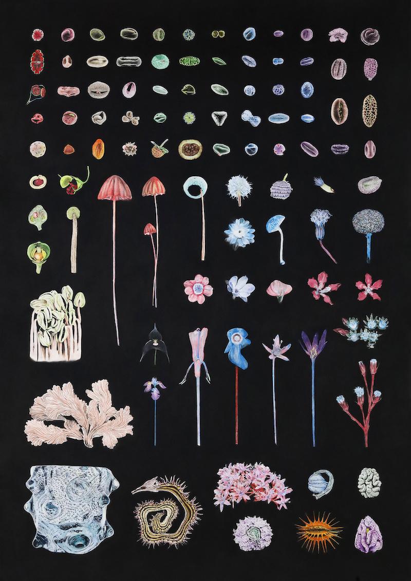 order order order #2 - PAYER GABRIEL 