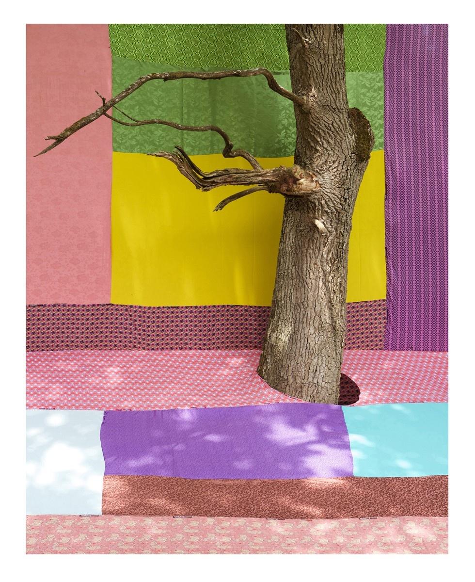 Oak Tree - Markus Guschelbauer 