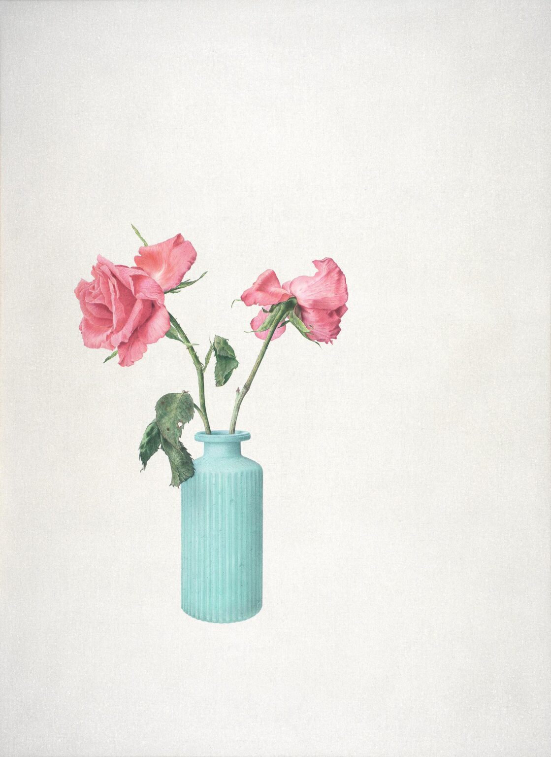 Rose - Alfredo Barsuglia 