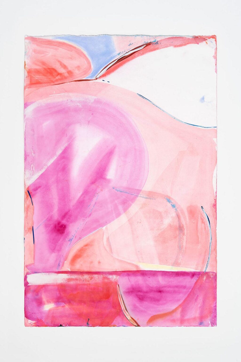 Insideout - Veronika Dirnhofer 