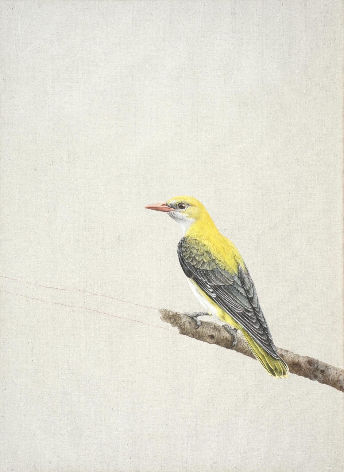 Helga - Alfredo Barsuglia 