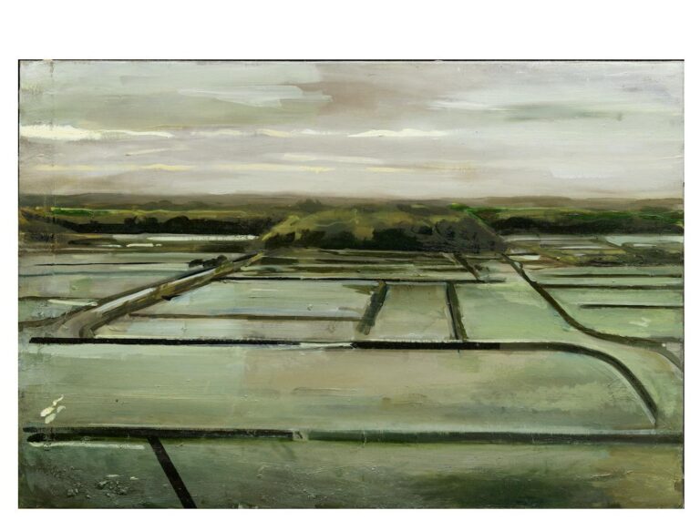 Salzgärten - Alex Amann 