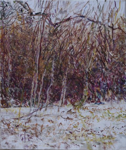 Garten Jänner - Markus Orsini-Rosenberg 