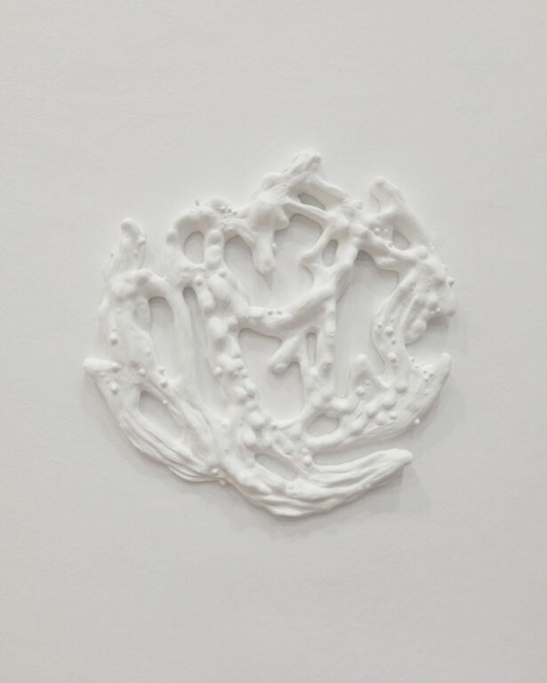 Invasive Pieces 3 - Janne Schipper 