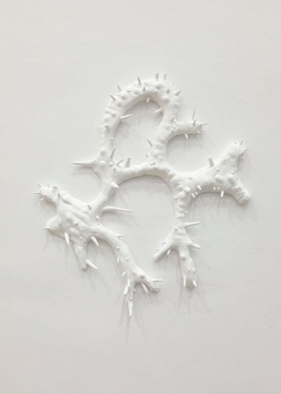 Invasive Pieces 2 - Janne Schipper 