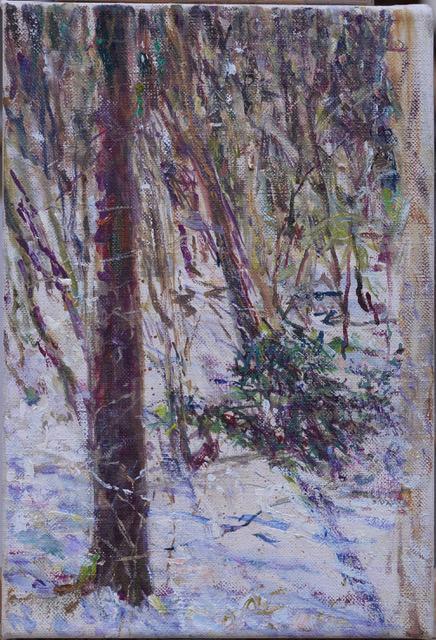 15.2.2021 Park - Markus Orsini-Rosenberg 