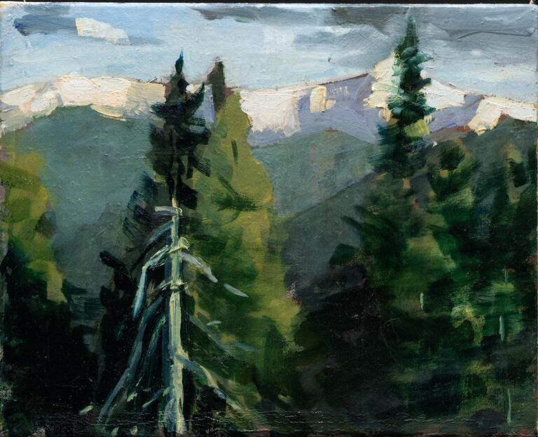 Studie Julische Alpen I - Alex Amann 