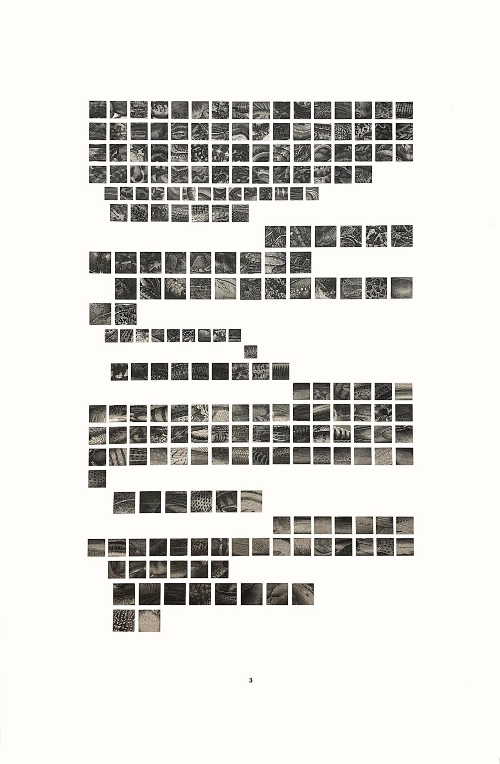 Fur, Feathers & Skins 3 - Sophie Dvoř&aacute;k 