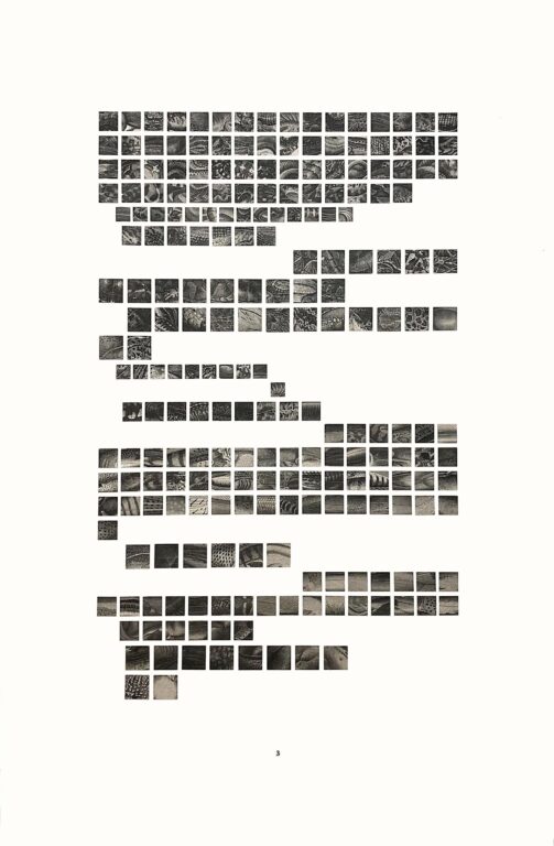 Fur, Feathers & Skins 3 - Sophie Dvořák 