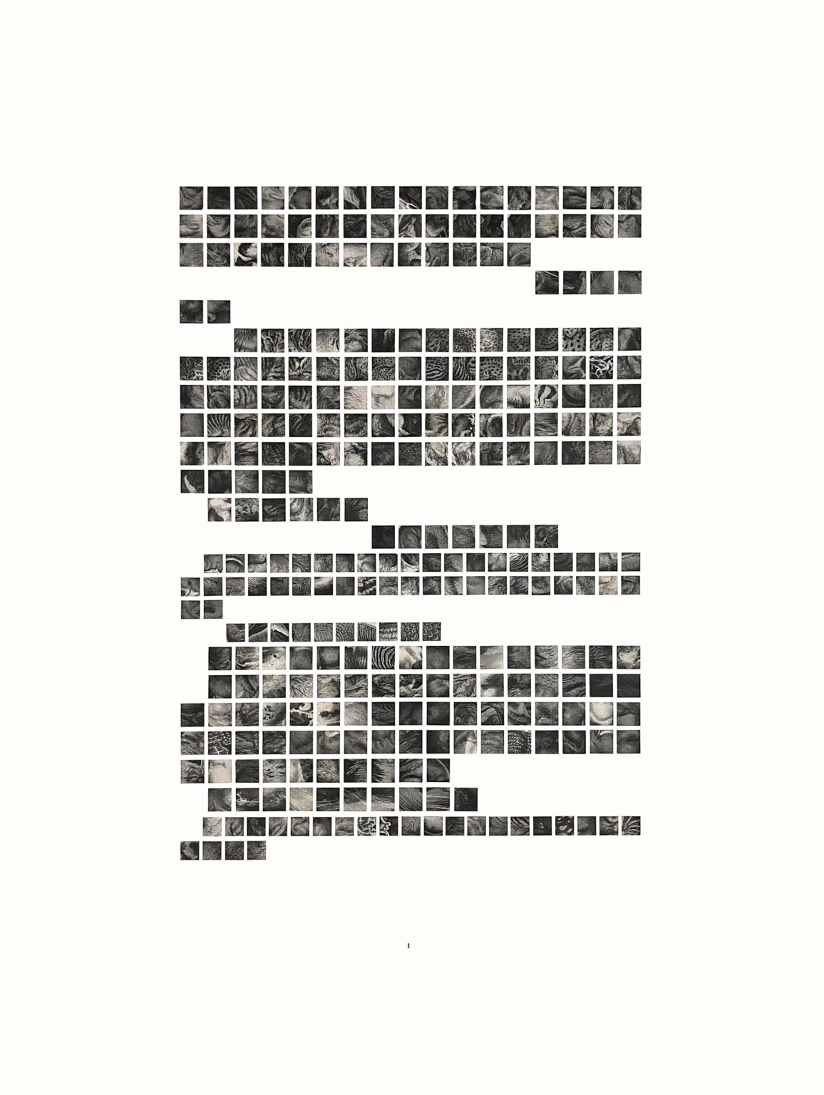 Fur, Feathers & Skins 1 - Sophie Dvoř&aacute;k 