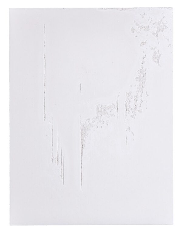 column defect II - Sophie Dvořák 