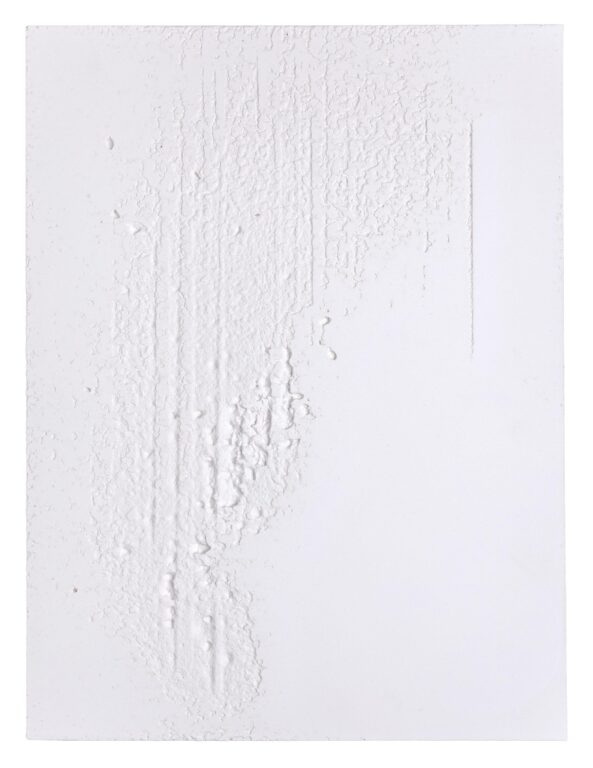 column defect I - Sophie Dvořák 