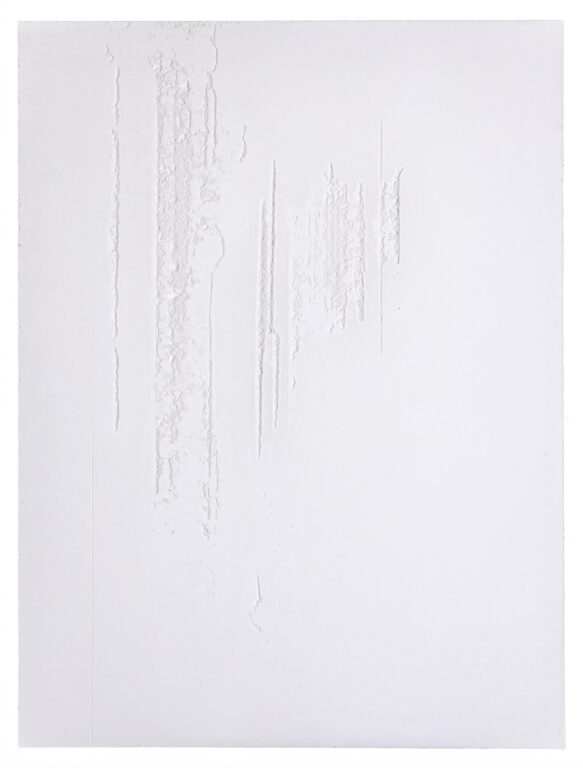 column defect IV - Sophie Dvořák 