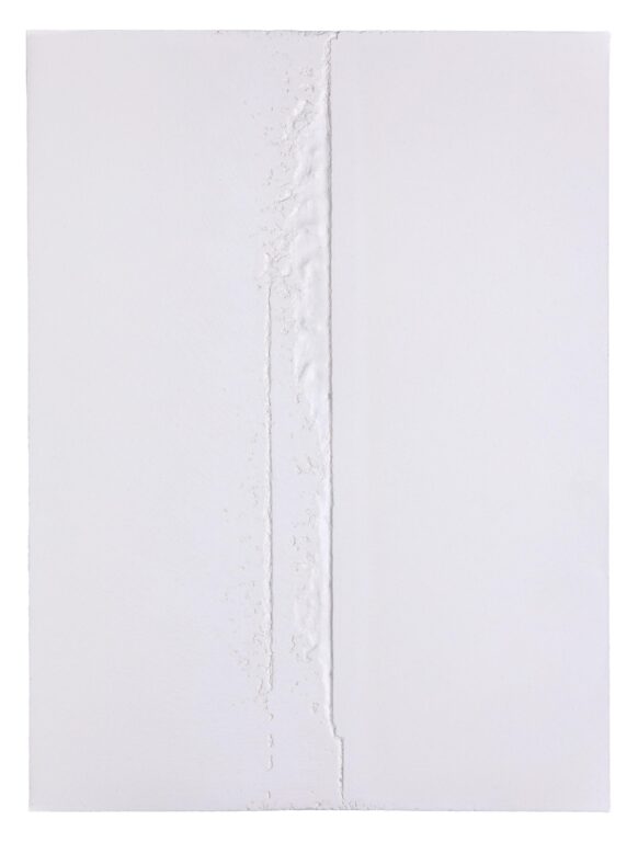 column defect III - Sophie Dvořák 