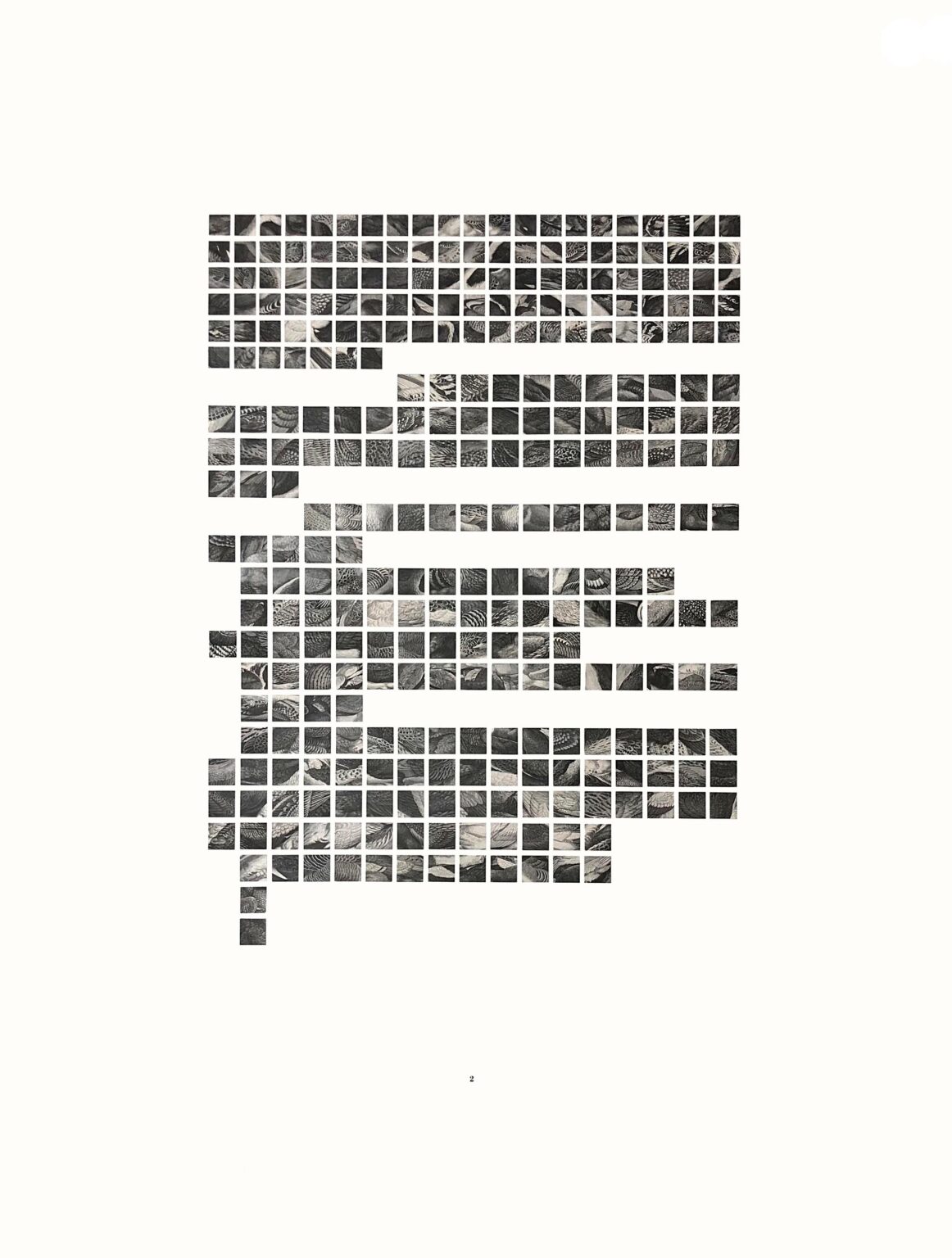 Fur, Feathers & Skins 2 - Sophie Dvoř&aacute;k 